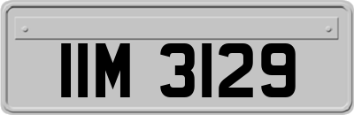 IIM3129