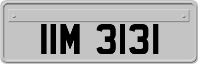 IIM3131