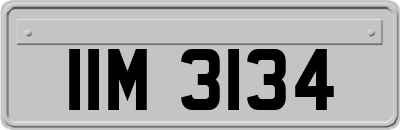 IIM3134