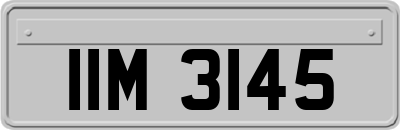 IIM3145