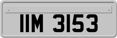 IIM3153