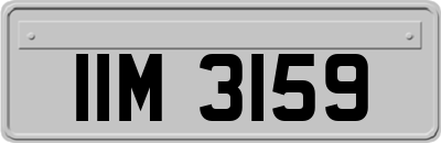 IIM3159