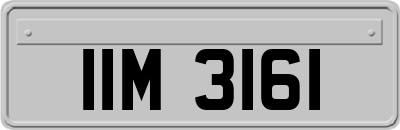 IIM3161