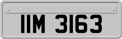IIM3163