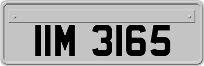 IIM3165