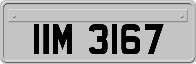 IIM3167