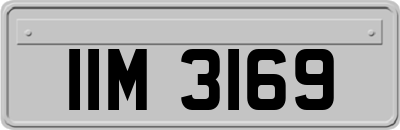 IIM3169