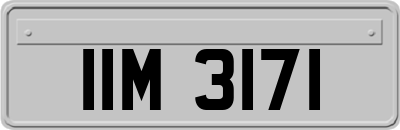 IIM3171