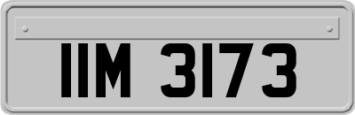 IIM3173