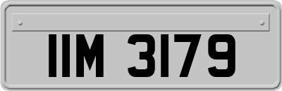 IIM3179