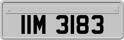 IIM3183