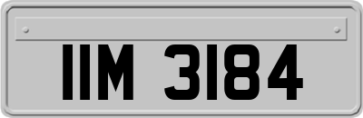 IIM3184