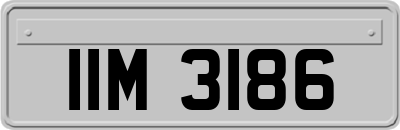 IIM3186