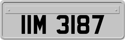 IIM3187