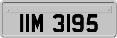 IIM3195