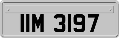 IIM3197