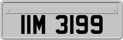 IIM3199