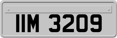 IIM3209