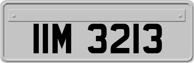 IIM3213