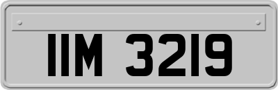 IIM3219