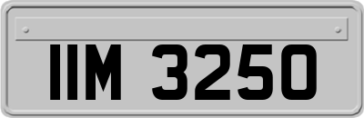 IIM3250
