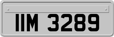 IIM3289