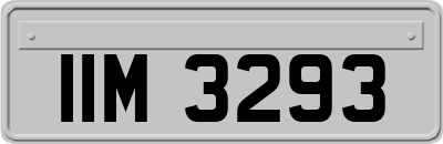 IIM3293