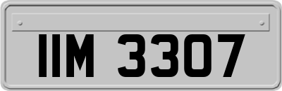 IIM3307