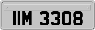 IIM3308