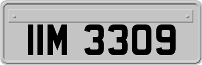 IIM3309