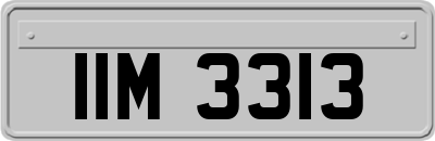 IIM3313