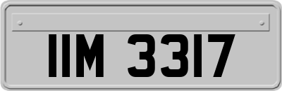 IIM3317