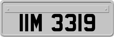 IIM3319