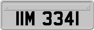IIM3341