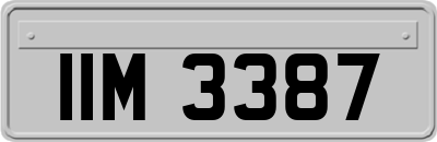 IIM3387