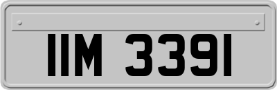 IIM3391