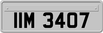 IIM3407