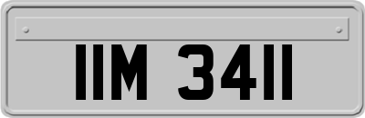 IIM3411
