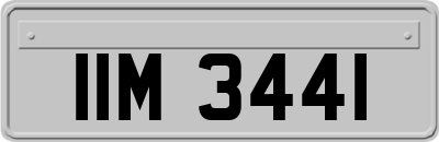 IIM3441