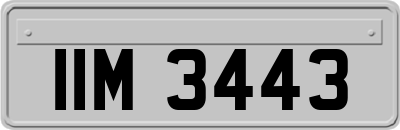 IIM3443