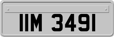 IIM3491