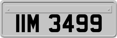 IIM3499