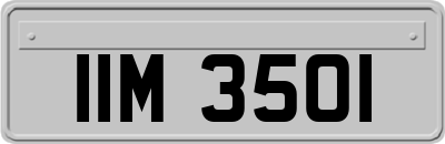 IIM3501