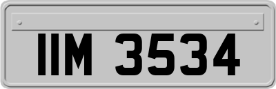 IIM3534