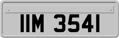 IIM3541