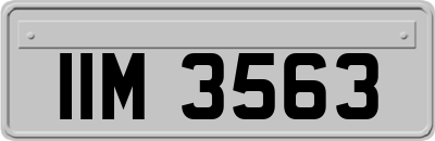 IIM3563