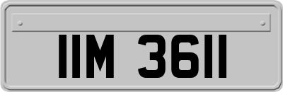 IIM3611