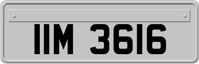 IIM3616