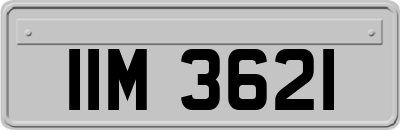 IIM3621