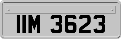 IIM3623